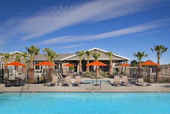 Expansive sparkling pool